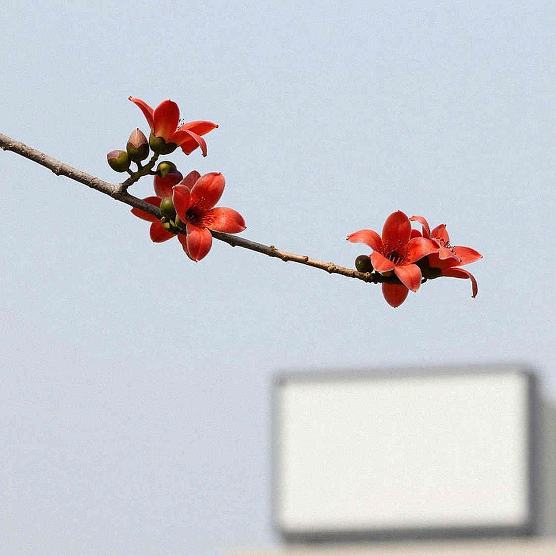 ওর্মেনিও থেকে গাভদোস: যেখানে স্টপওয়াচ আর সাক্ষী নয়, শরীর নিজেই মাপকাঠি